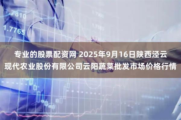 专业的股票配资网 2025年9月16日陕西泾云现代农业股份有限公司云阳蔬菜批发市场价格行情