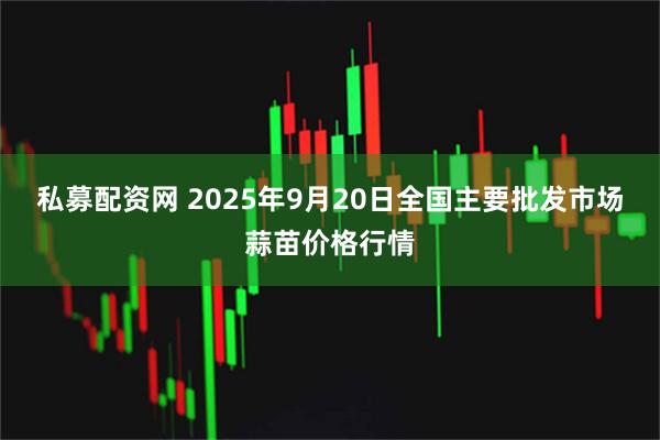 私募配资网 2025年9月20日全国主要批发市场蒜苗价格行情