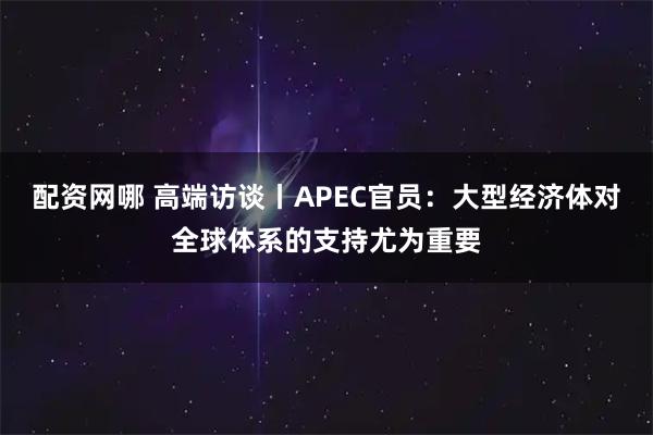 配资网哪 高端访谈丨APEC官员：大型经济体对全球体系的支持尤为重要