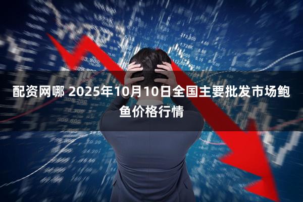 配资网哪 2025年10月10日全国主要批发市场鲍鱼价格行情