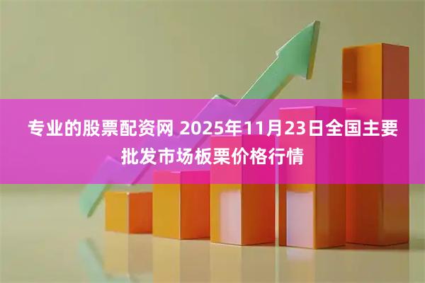 专业的股票配资网 2025年11月23日全国主要批发市场板栗价格行情